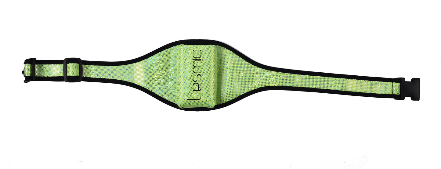 Lesmic Glitter Series -Green Adjustable Vertical Fitness / Aerobic Belt Pouches